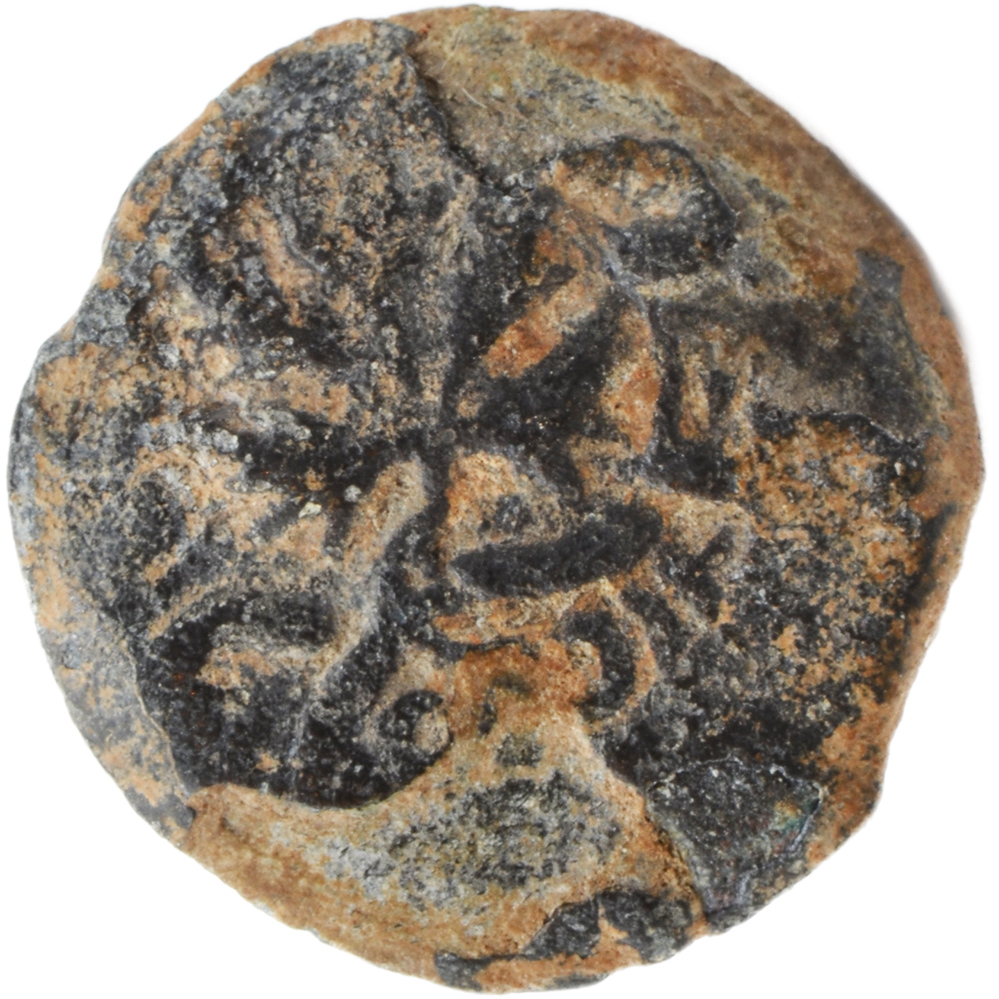 Coin of the Jewish Revolt Against Rome - "For the Freedom of Zion" (head)