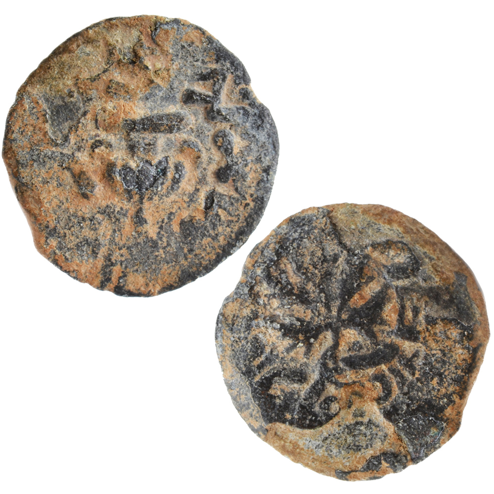 Coin of the Jewish Revolt Against Rome - "For the Freedom of Zion"