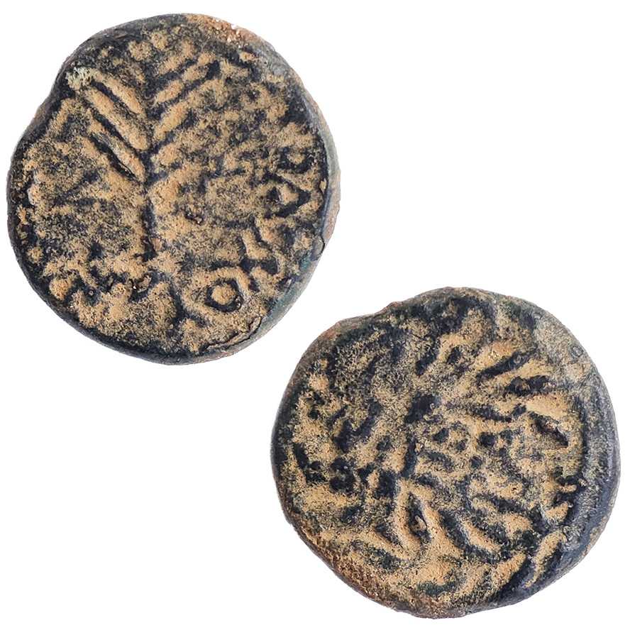 Herod Antipas the Tetrarch Coin for Sale