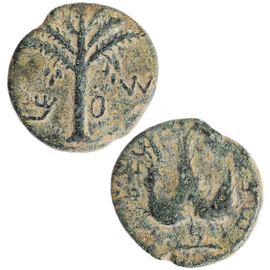 Second Jewish Revolt Coin - Simon The Prince of Israel