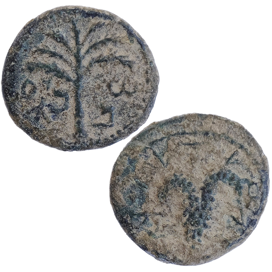 Simon Bar Kokhba Coin with Palm of Victory year 3 of the Second Revolt Against Rome