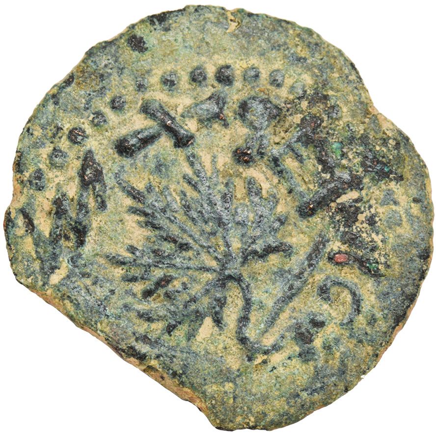 First Jewish Revolt Coin